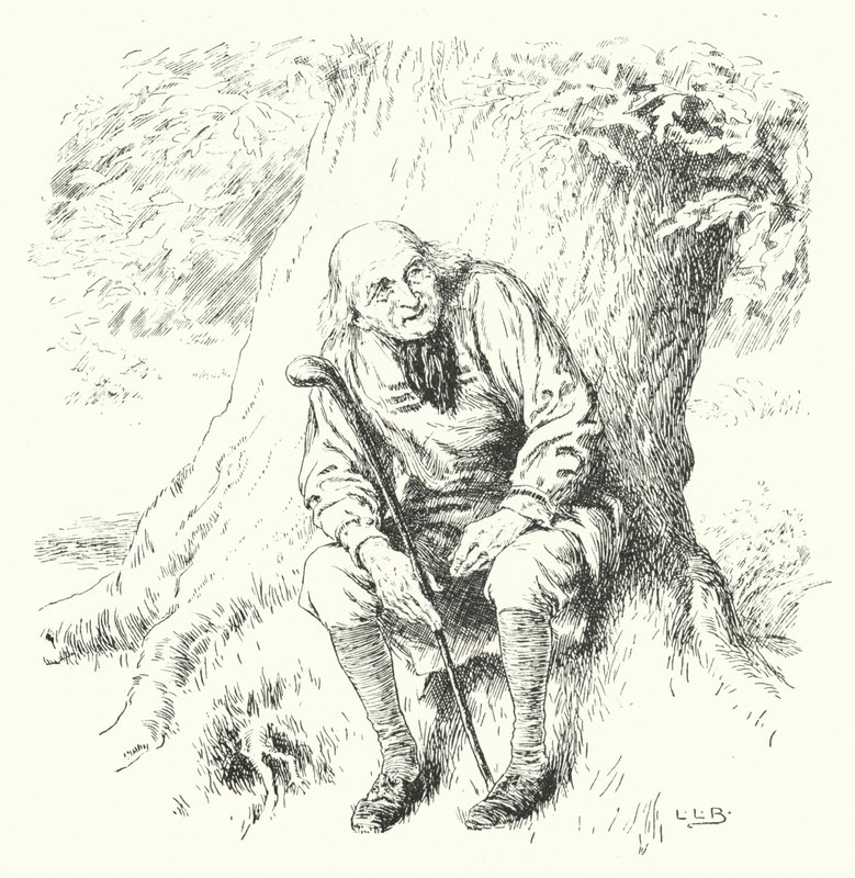 Sagt der alte Mann zum Eichenbaum von Leonard Leslie Brooke