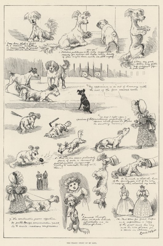 Die tragische Geschichte meines Lebens von Louis Wain