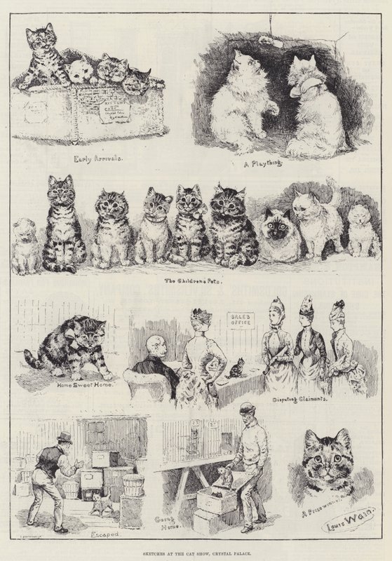 Skizzen auf der Katzenausstellung, Crystal Palace von Louis Wain