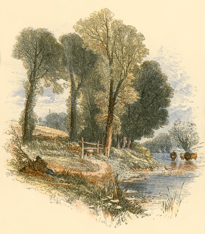Sonntagsspaziergänge von Myles Birket Foster