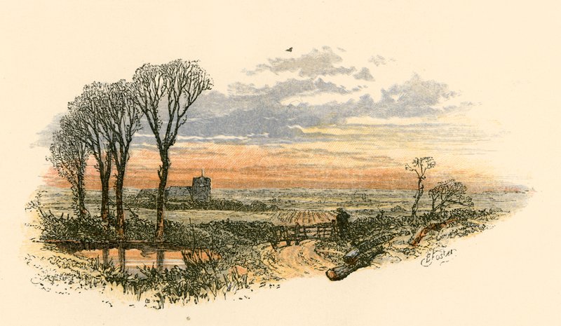 Sonntagabendspaziergang von Myles Birket Foster
