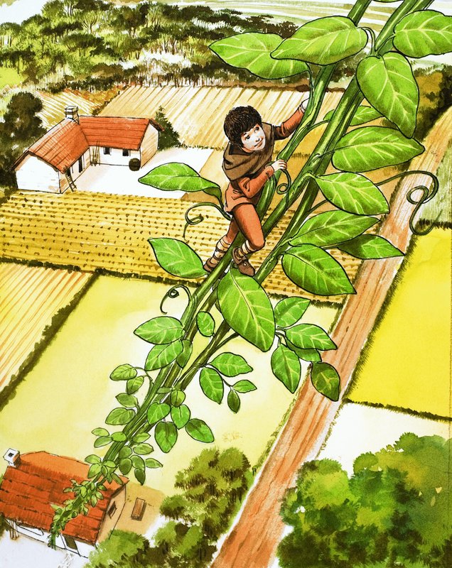 Hans und die Bohnenranke von Nadir Quinto