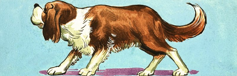 Peter Pan und Wendy von Nadir Quinto