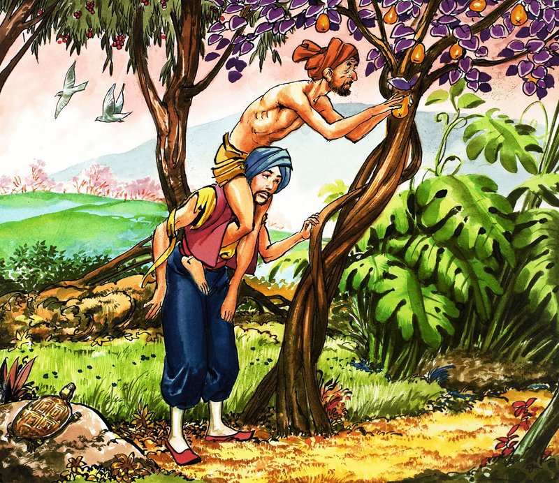 Sindbad der Seefahrer von Nadir Quinto