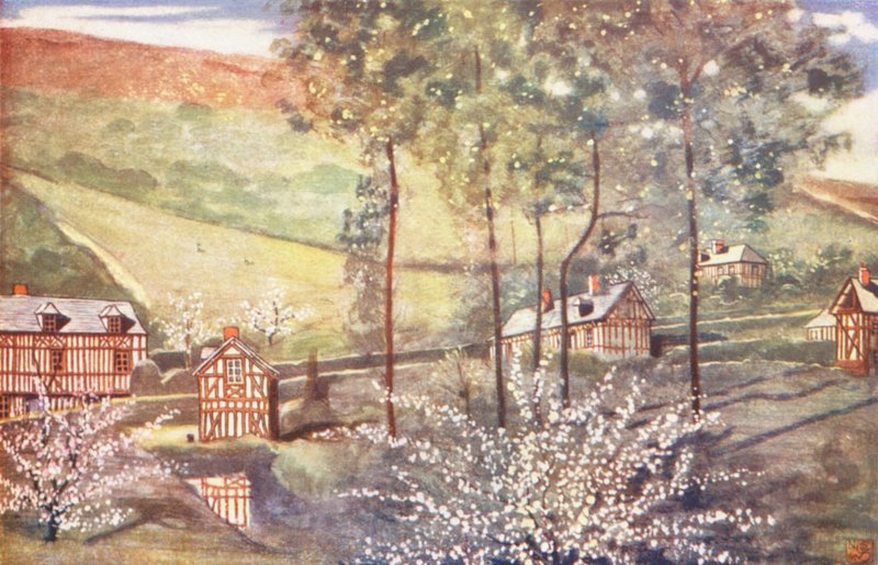 Kirschblüte von Nico Jungmann