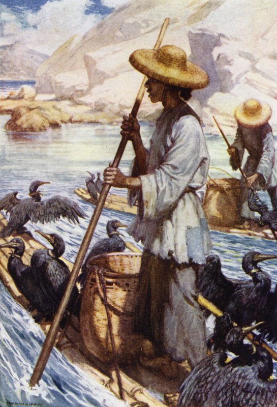 China: Fischen mit Kormoranen von Norman Hardy