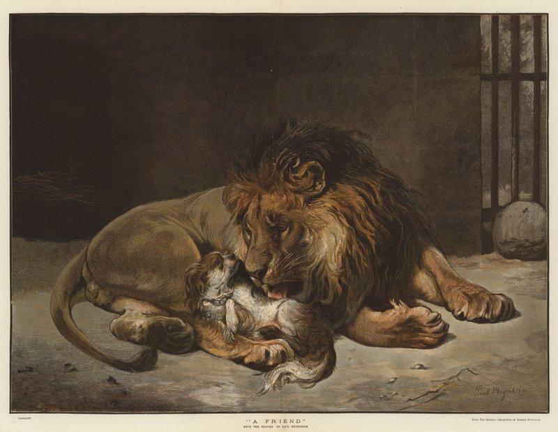 Ein Freund von Paul Friedrich Meyerheim