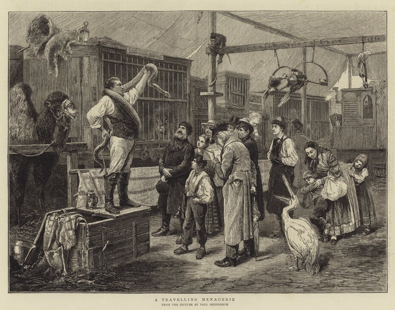 Eine reisende Menagerie von Paul Friedrich Meyerheim