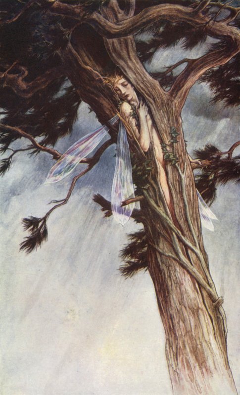 Der Sturm von William Shakespeare, Akt I, Szene 2 von Paul Vincent Woodroffe