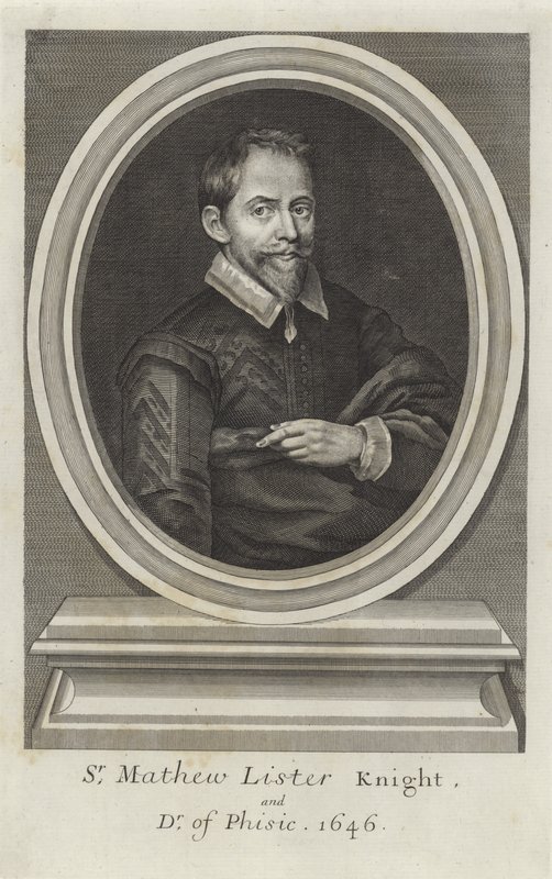Sir Matthew Lister von Paul van Somer
