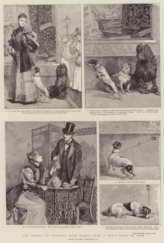 Das Elend des Einkaufens mit Frauen aus der Sicht eines Hundes von Percy Macquoid