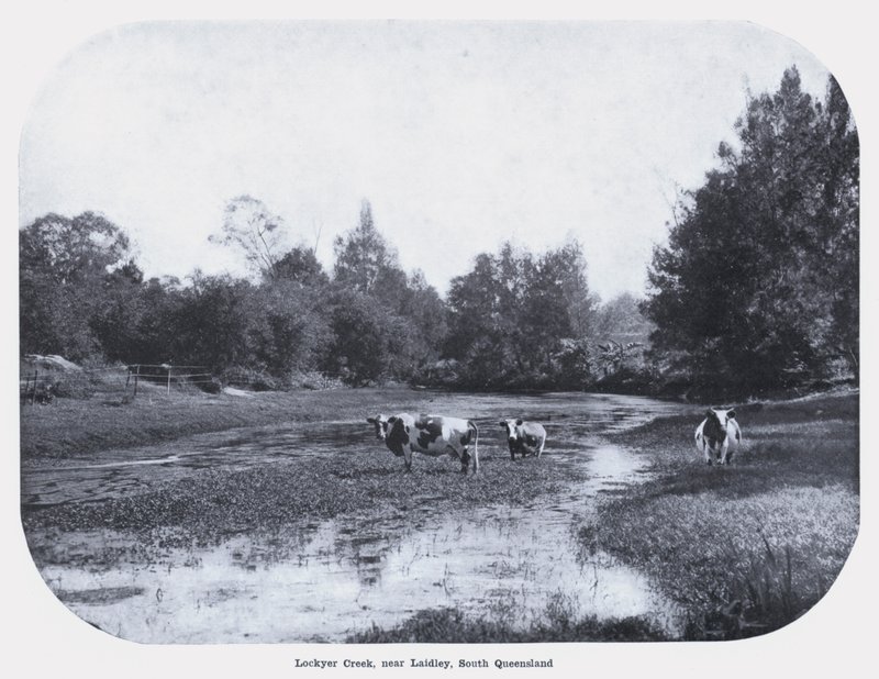 Lockyer Creek, nahe Laidley, Süd-Queensland von Photographer Australian