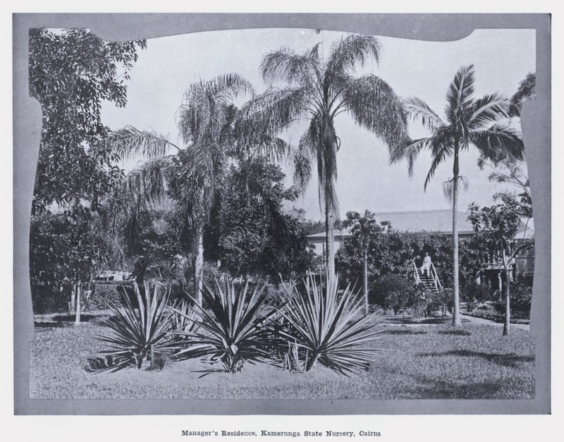 Managerresidenz, Kamerunga State Nursery, Cairns (s/w Foto) von Photographer Australian