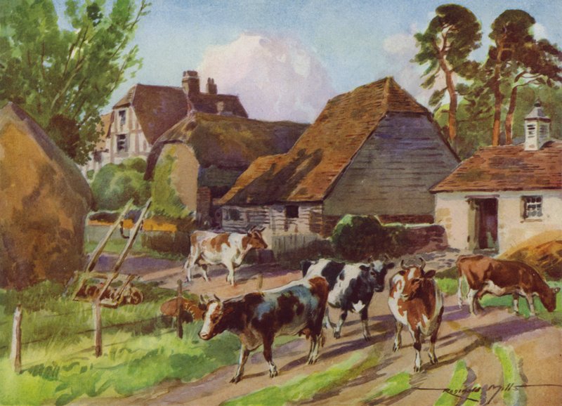 Illustration für Mein Bauernhof von Reginald Mills