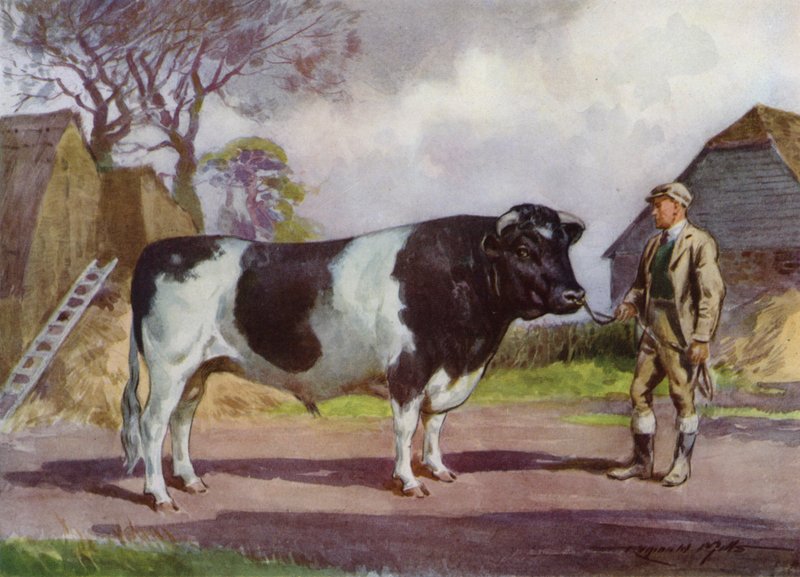 Illustration für Meine Farm von Reginald Mills