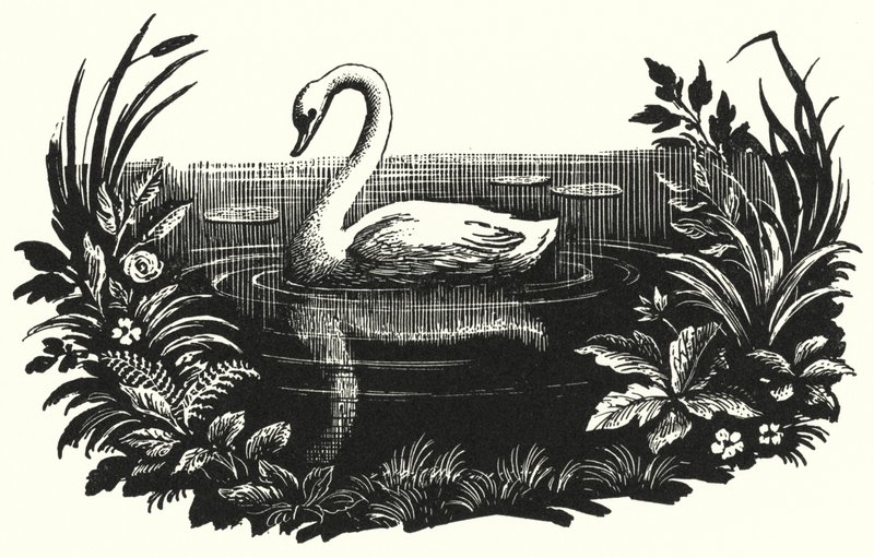 Hans Christian Andersen: Das hässliche Entlein von Rex (after) Whistler