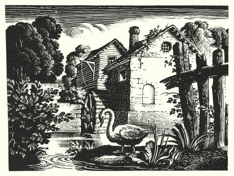 Hans Christian Andersen: Das hässliche Entlein (Lithografie) von Rex (after) Whistler
