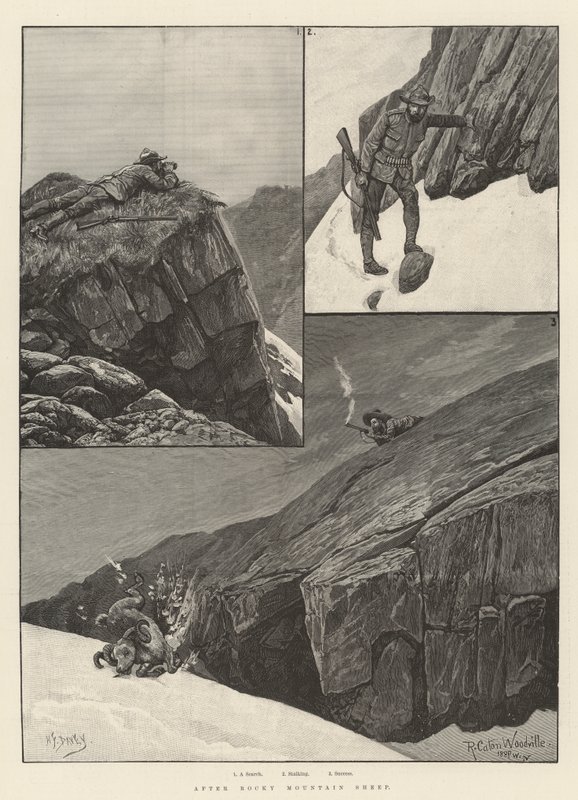 Nach Rocky Mountain Sheep von Richard Caton Woodville junior