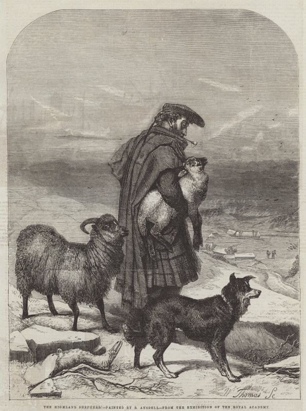 Der Hochlandhirte von Richard Ansdell