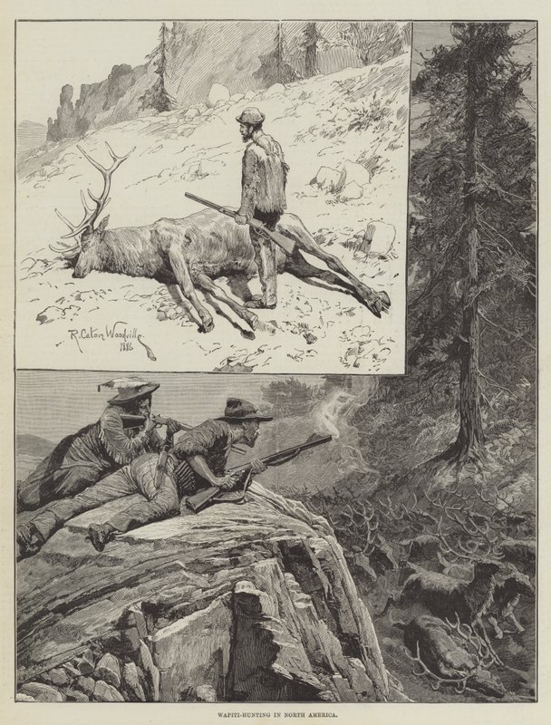 Wapiti-Jagd in Nordamerika (Gravur) von Richard Caton II (after) Woodville