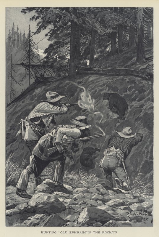 Jagd auf Old Ephraim in den Rocky Mountains von Richard Caton Woodville junior