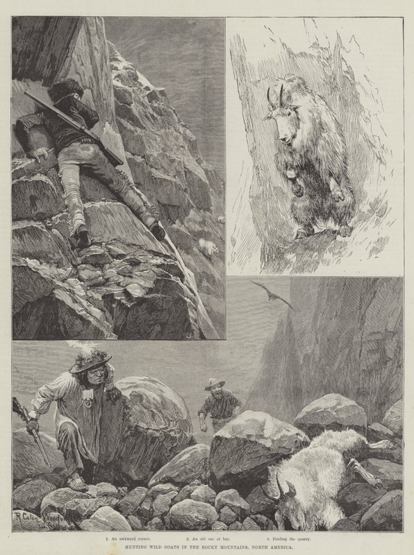 Jagd auf Wildziegen in den Rocky Mountains, Nordamerika von Richard Caton Woodville junior