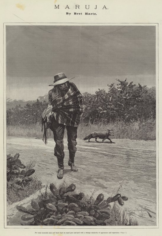 Maruja, von Bret Harte von Richard Caton Woodville junior