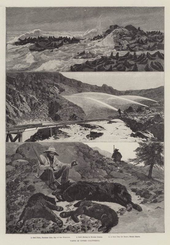 Ansichten in Oberkalifornien von Richard Caton Woodville junior