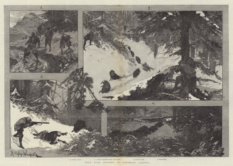 Wildschweinjagd in Nordalbanien von Richard Caton Woodville junior