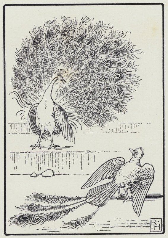 Der Eichelhäher und der Pfau von Richard Heighway