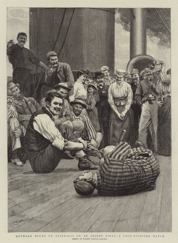 Ausreise nach Australien auf einem Orient-Liner, ein Hahnenkampf von Robert Barnes