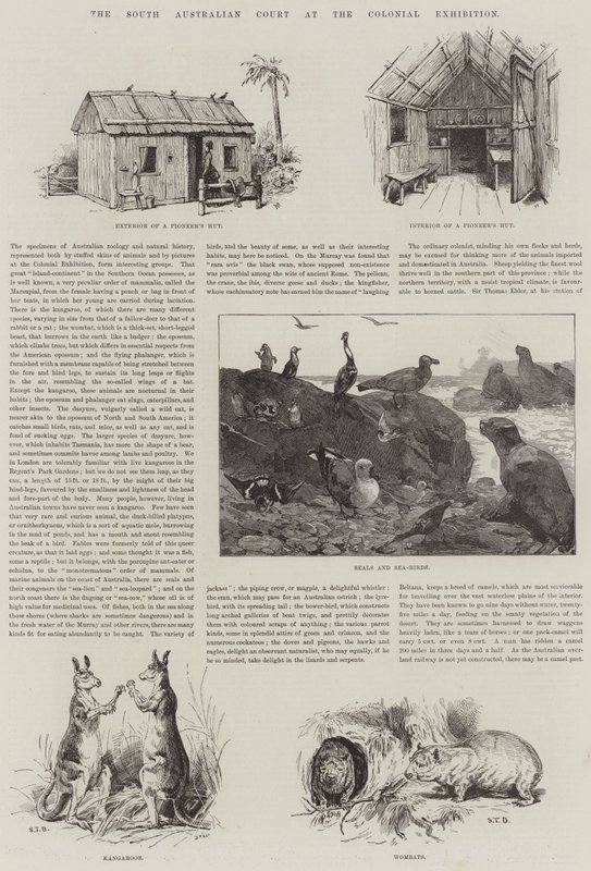 Der südaustralische Hof auf der Kolonialausstellung von S.T. Dadd