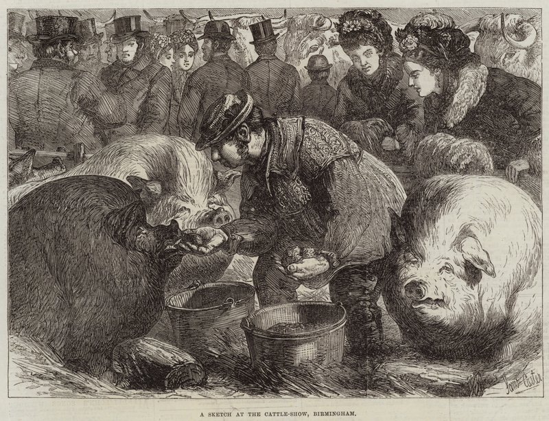 Eine Skizze auf der Viehschau, Birmingham von Samuel John Carter