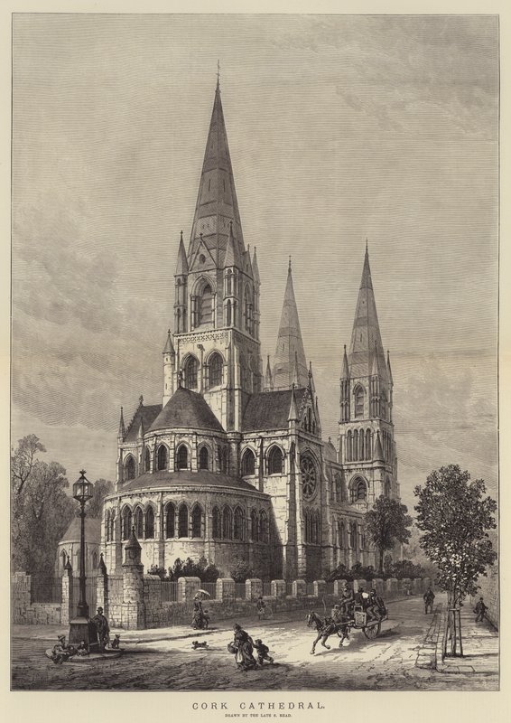 Kathedrale von Cork von Samuel Read