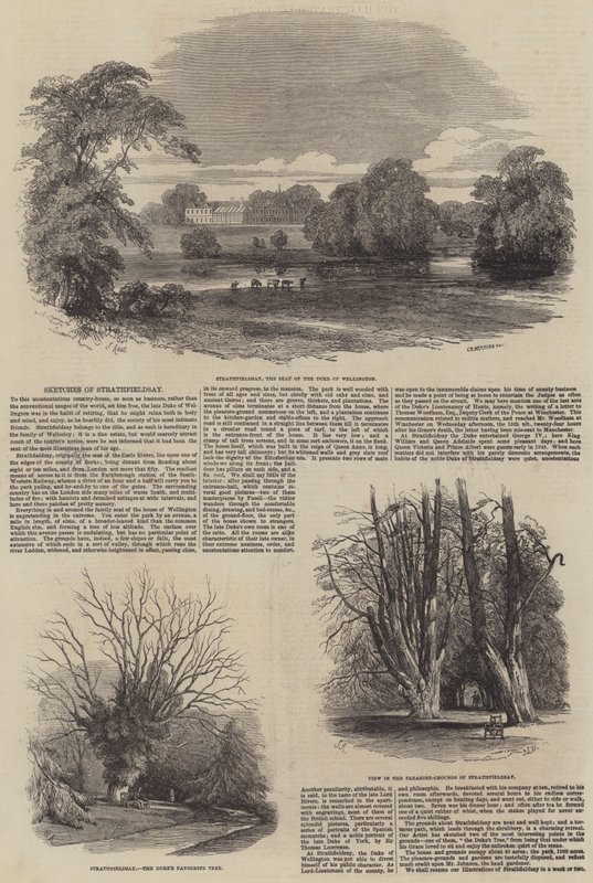Skizzen von Strathfieldsay von Samuel Read