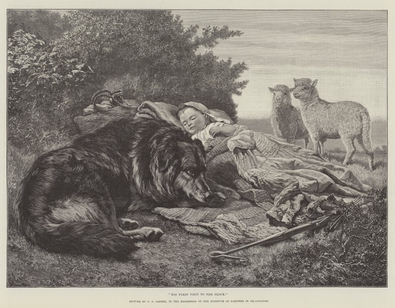 Sein erster Besuch bei der Herde, in der Ausstellung des Instituts der Maler in Öl-Farben von Samuel John Carter