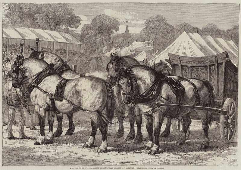 Treffen der Lincolnshire Agricultural Society in Sleaford, Erstplatzierte Pferdeteam von Samuel John Carter