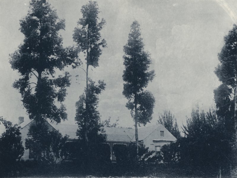 Eine niederländische Farm, in der Nähe der New Croesus Gold Mining Company von South African Photographer