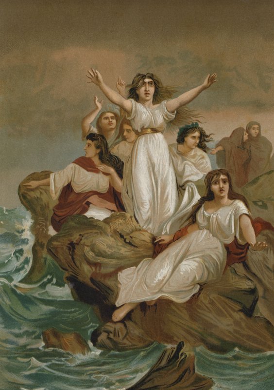 Die Druiden von Gallien von Spanish School