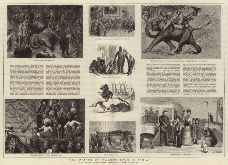 Die Indienreise des Prinzen von Wales von Sydney Prior Hall