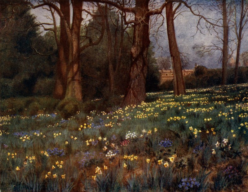 Kew Gardens: Der wilde Garten im Frühling von Thomas Mower Martin