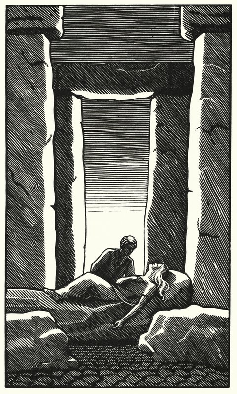 Illustration für Tess von den d