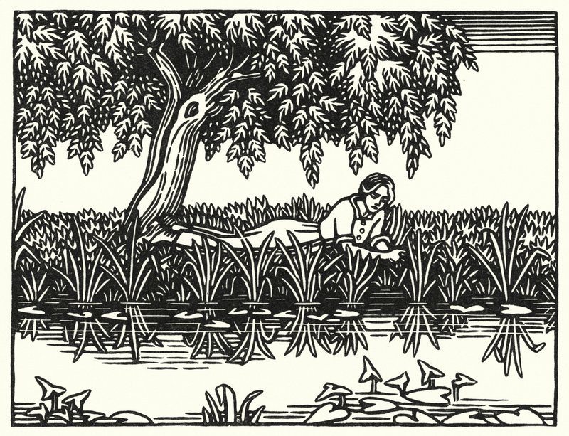Illustration für Tess von den d