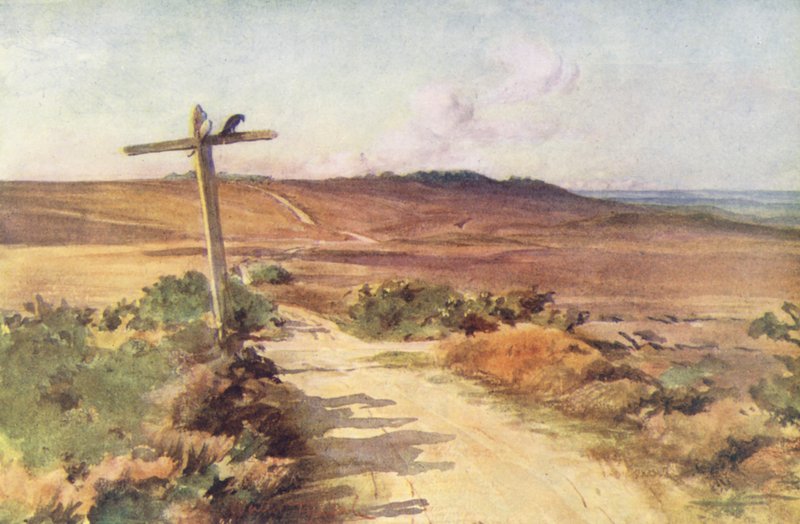 Wessex: Bere Heath im Herbst, mit Gallows Hill in der Ferne von Walter Frederick Roofe Tyndale