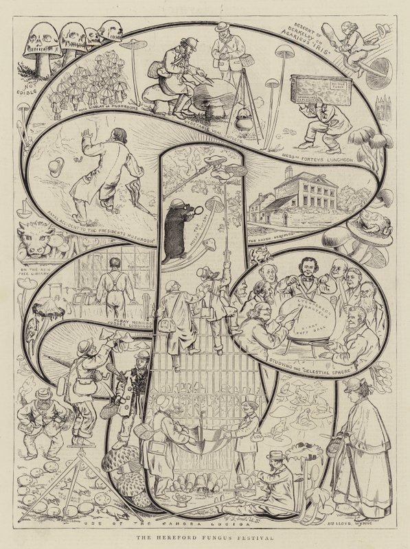 Das Hereford Pilzfestival von Walter Granville Smith