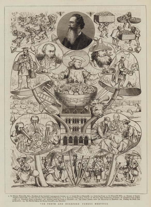 Die Pilztreffen von Perth und Hereford von Walter Granville Smith