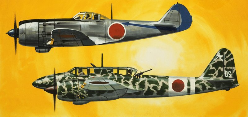 Ins Blaue: Japanische Flugzeuge des Zweiten Weltkriegs von Wilf (20th century) Hardy