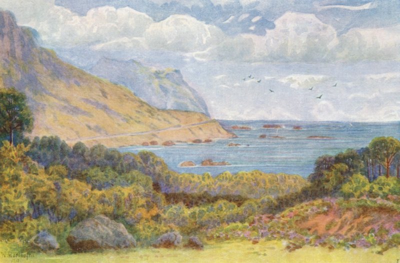 Auf der Victoria Road, in der Nähe von Oude Kraal von Wilhelm Westhofen