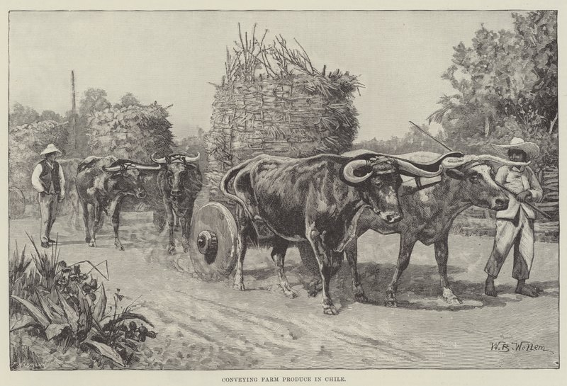 Transport von landwirtschaftlichen Erzeugnissen in Chile von William Barnes Wollen