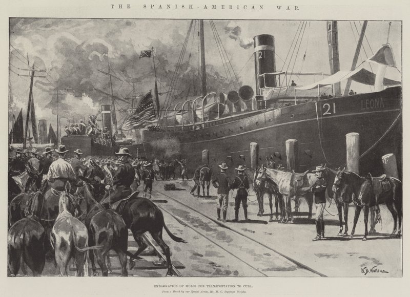 Der Spanisch-Amerikanische Krieg, Einschiffung von Maultieren für den Transport nach Kuba von William Barnes Wollen